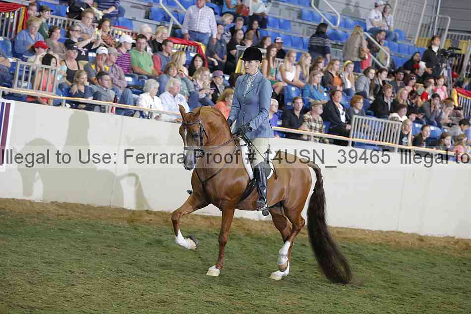 Proof 14usn_39465