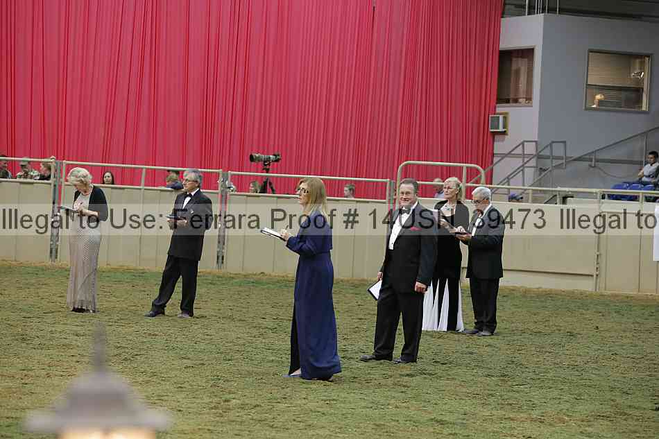 Proof 14usn_39473