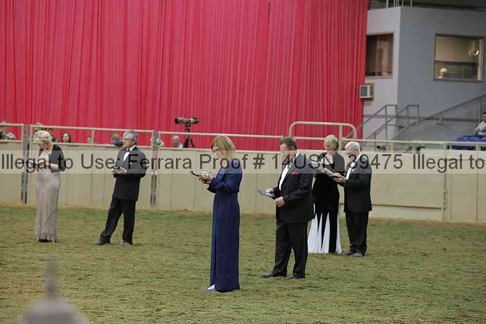 Proof 14usn_39475