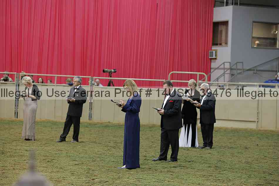 Proof 14usn_39476