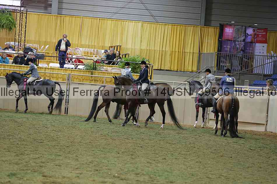 Proof 14usn_39506