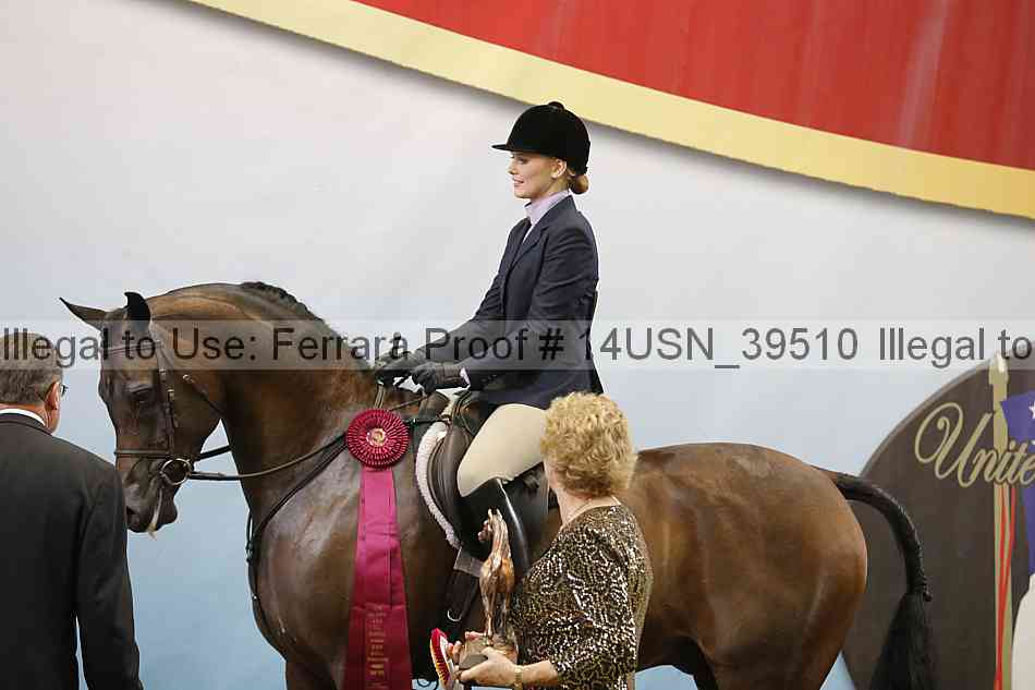 Proof 14usn_39510