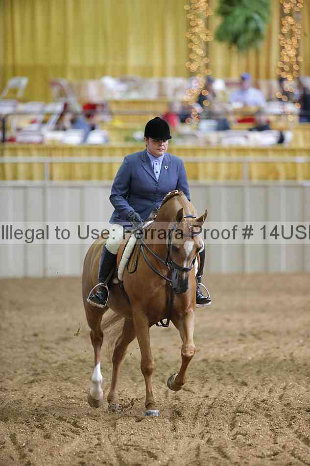 Proof 14usn_25523