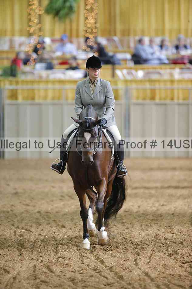 Proof 14usn_25531