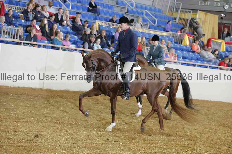 Proof 14usn_25536