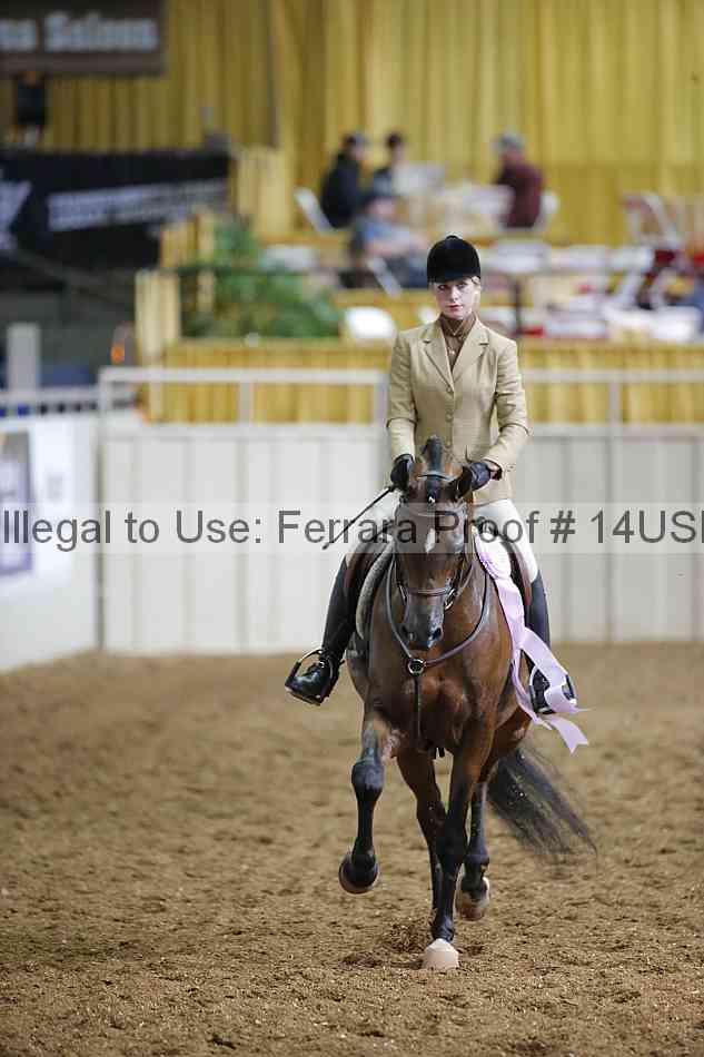 Proof 14usn_25588