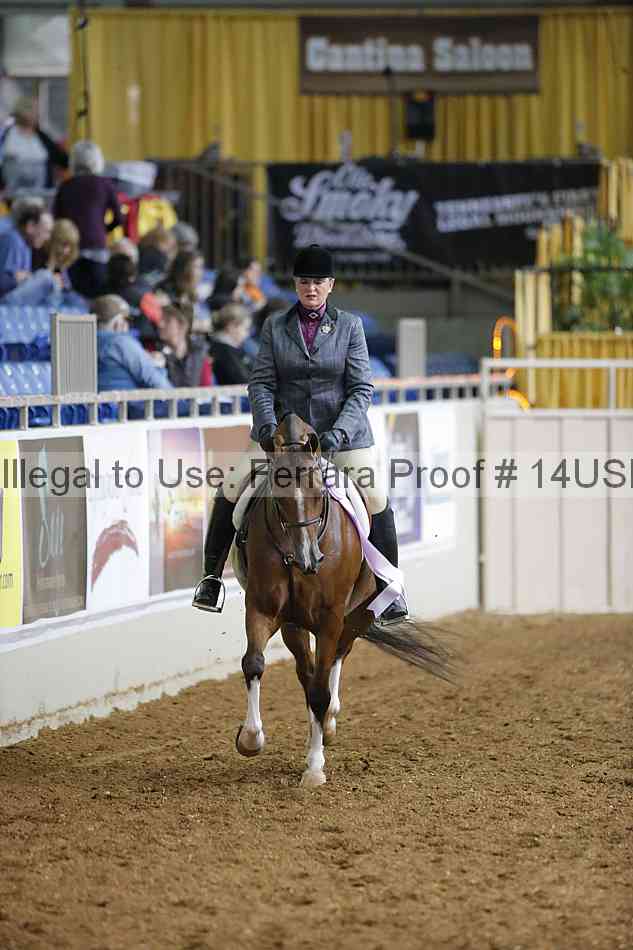 Proof 14usn_25597