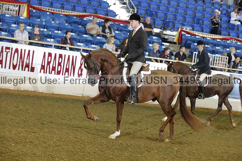 Proof 14usn_34496