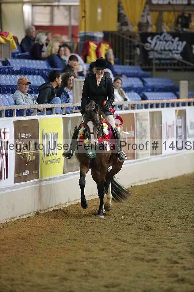 Proof 14usn_34597
