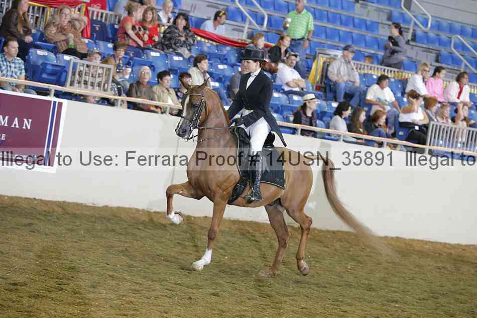 Proof 14usn_35891