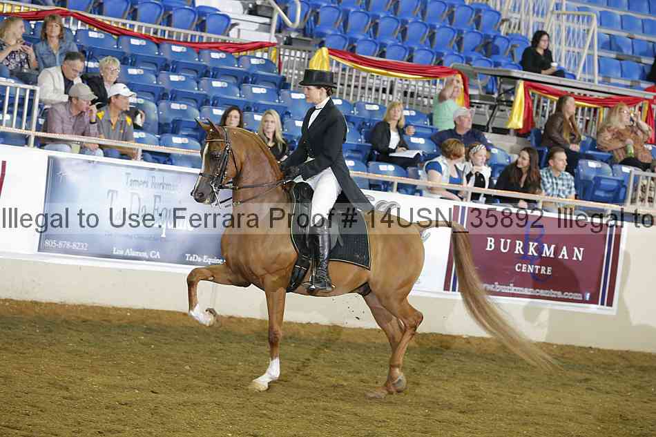 Proof 14usn_35892