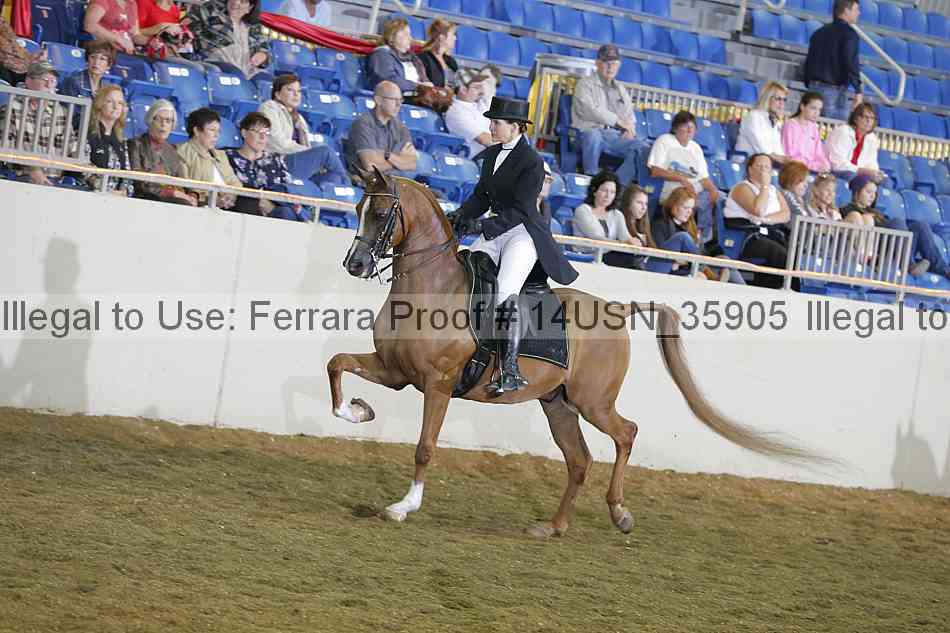 Proof 14usn_35905