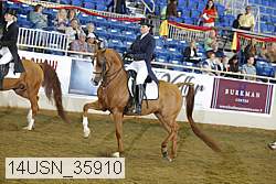 14usn_35910 proof
