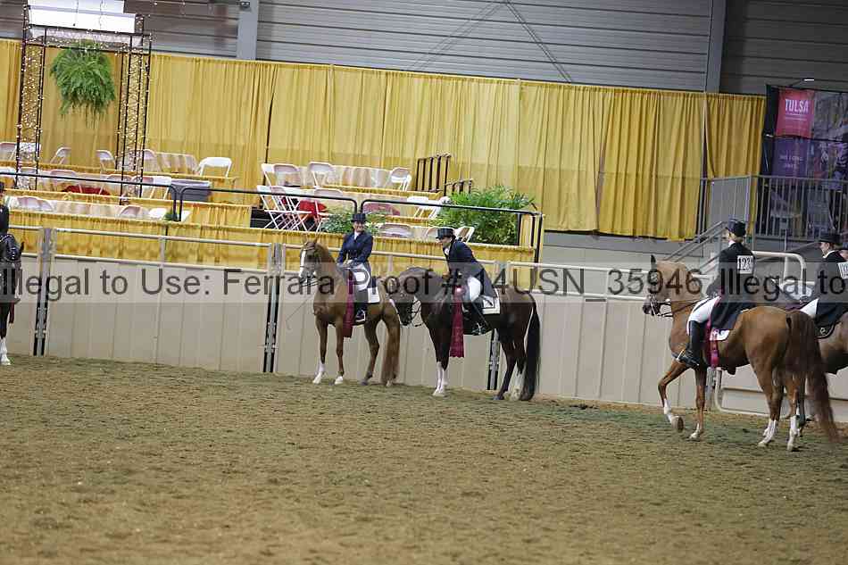 Proof 14usn_35946