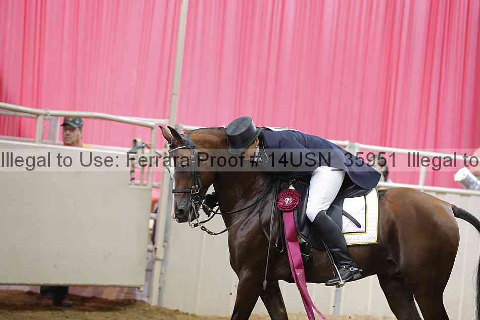 Proof 14usn_35951