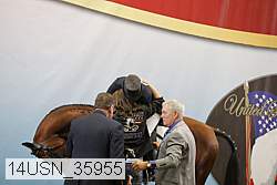 14usn_35955 proof