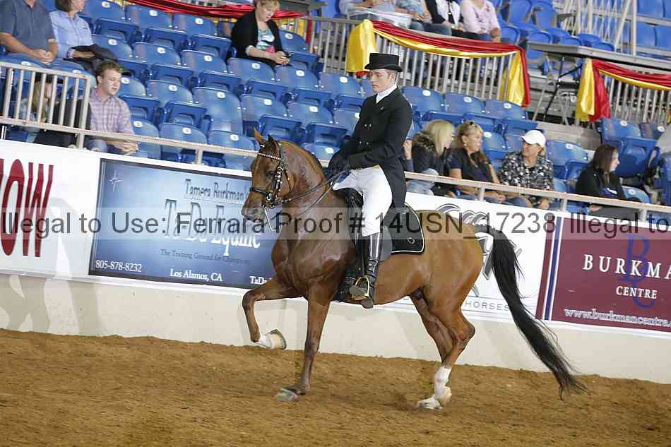 Proof 14usn_17238