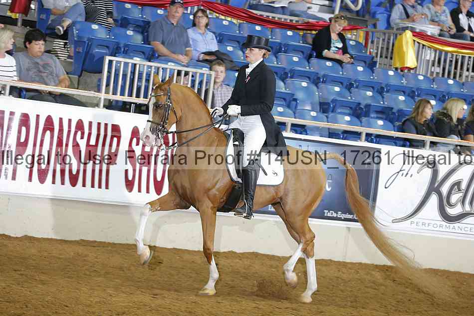 Proof 14usn_17261