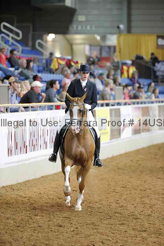 Proof 14usn_17269