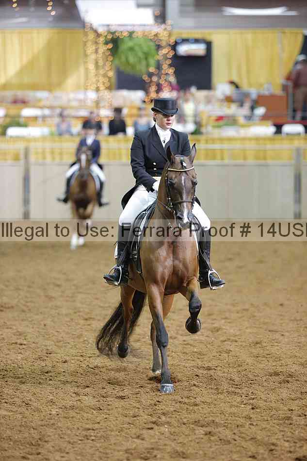 Proof 14usn_17272