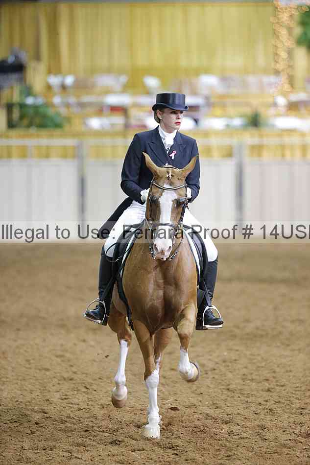 Proof 14usn_17295
