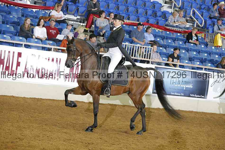 Proof 14usn_17296