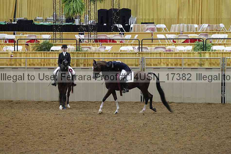 Proof 14usn_17382
