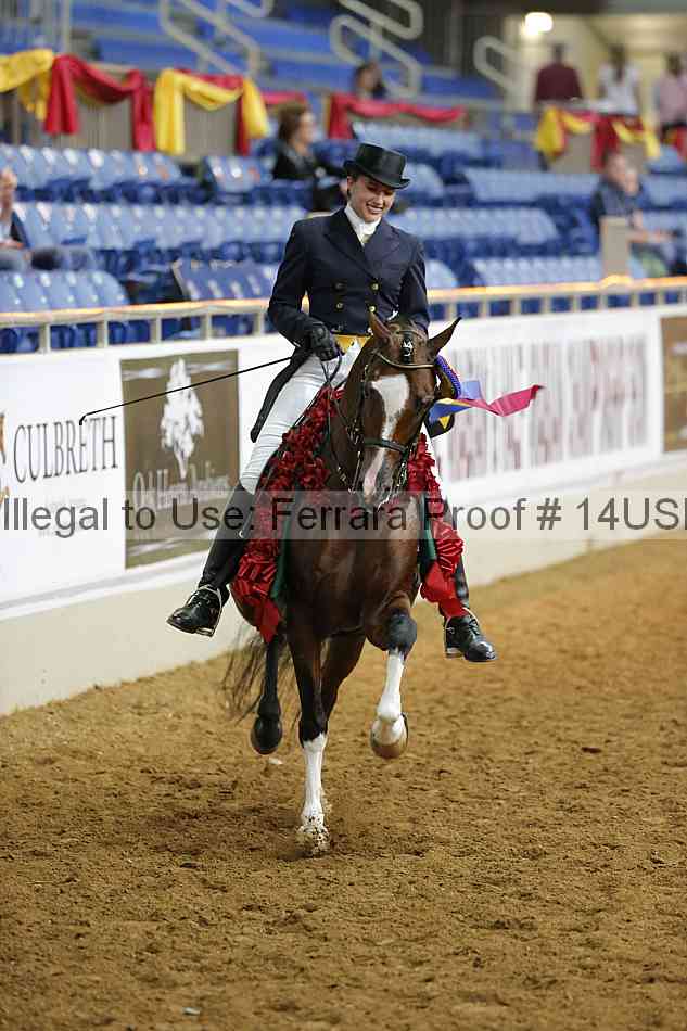 Proof 14usn_17486