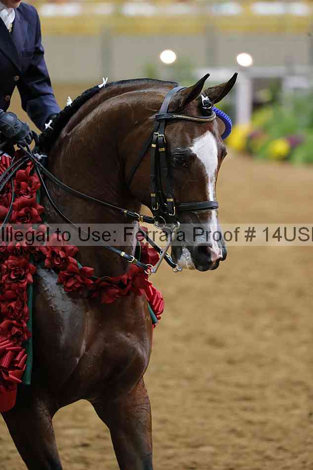 Proof 14usn_17494