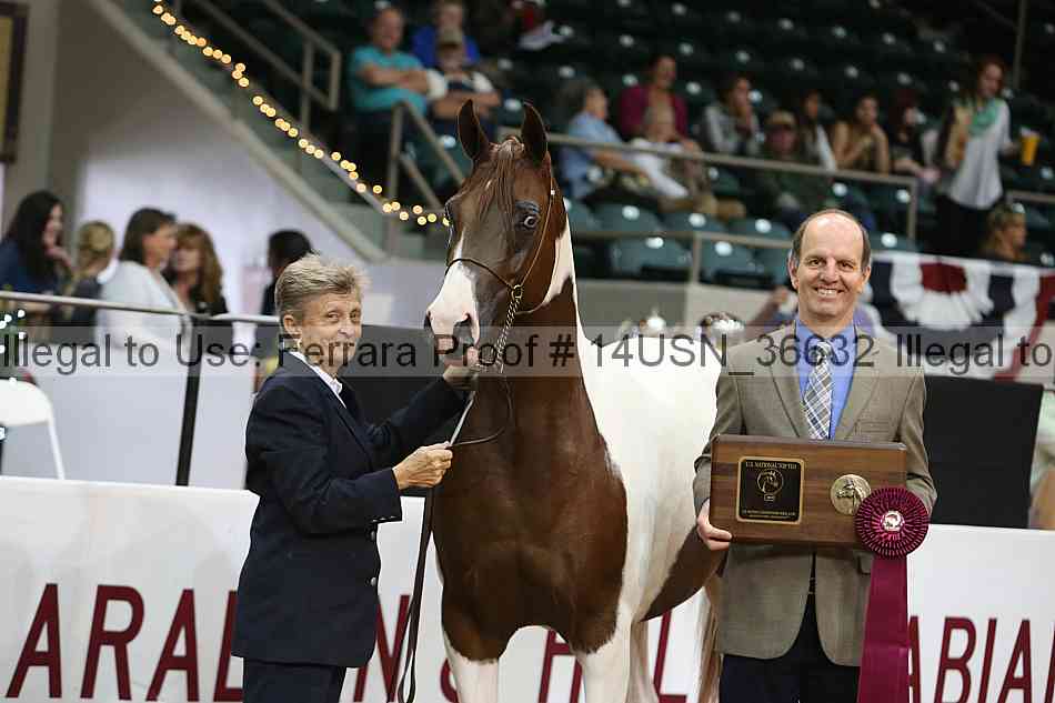Proof 14usn_36632