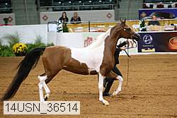 14usn_36514 proof