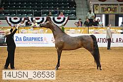 14usn_36538 proof