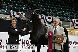 14usn_36569 proof