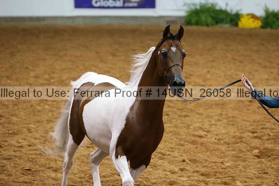 Proof 14usn_26058