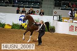 14usn_26067 proof