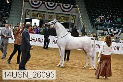 14usn_26095 proof