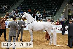 14usn_26096 proof