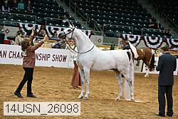 14usn_26098 proof