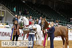 14usn_26204 proof