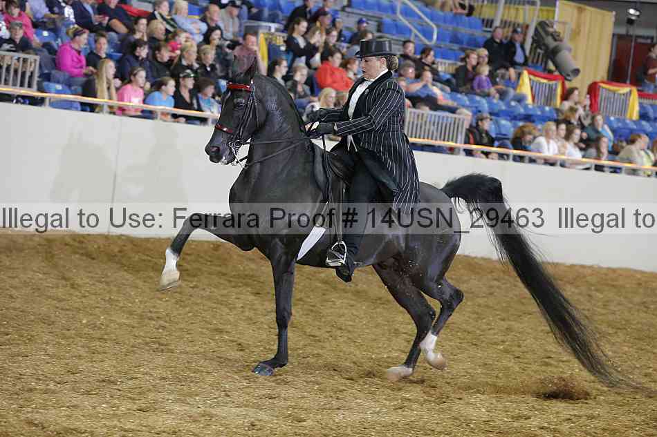 Proof 14usn_29463