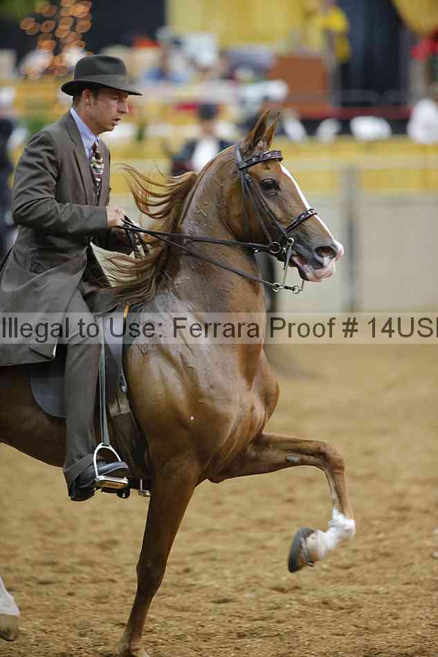 Proof 14usn_29465