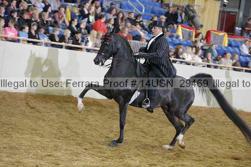 Proof 14usn_29469