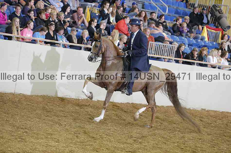 Proof 14usn_29471