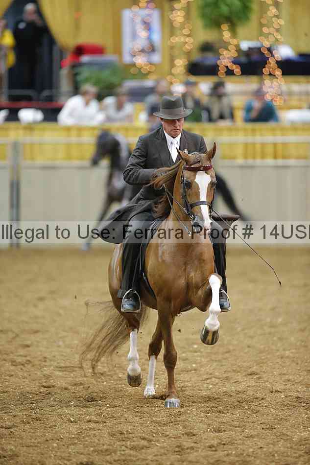 Proof 14usn_29483