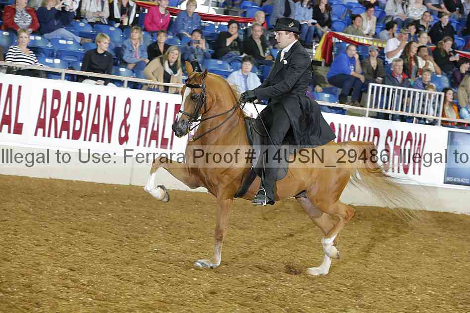 Proof 14usn_29486