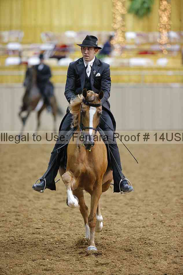 Proof 14usn_29492