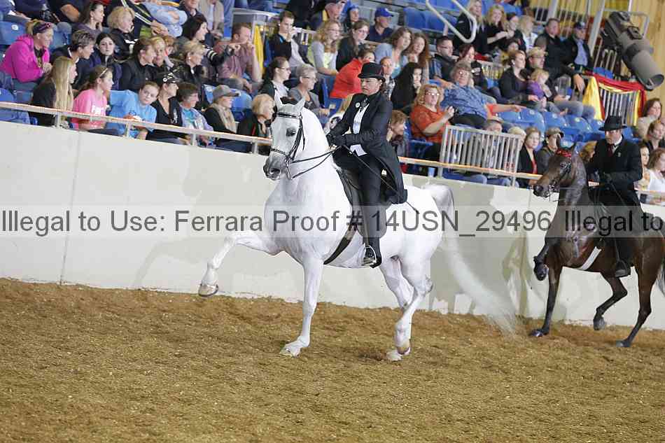 Proof 14usn_29496