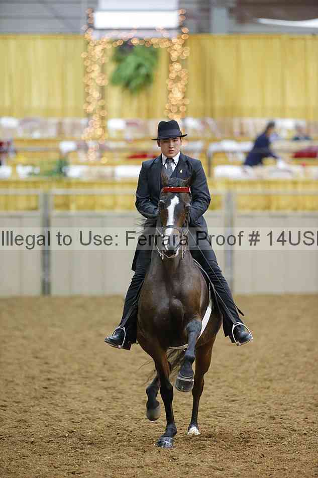 Proof 14usn_29497