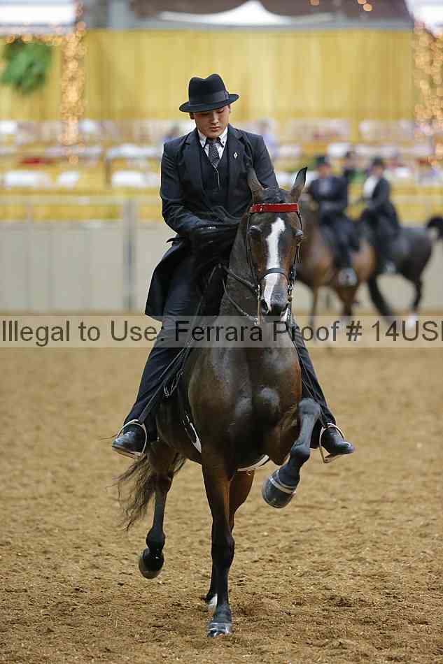 Proof 14usn_29498