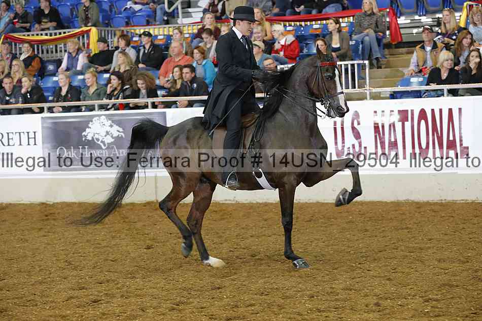 Proof 14usn_29504